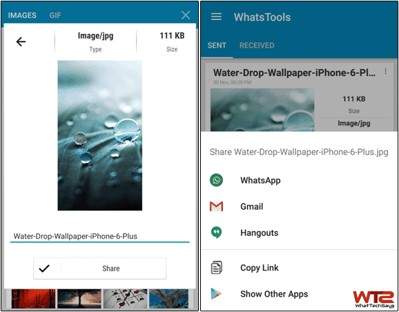 Send Any File On Whatsapp 2