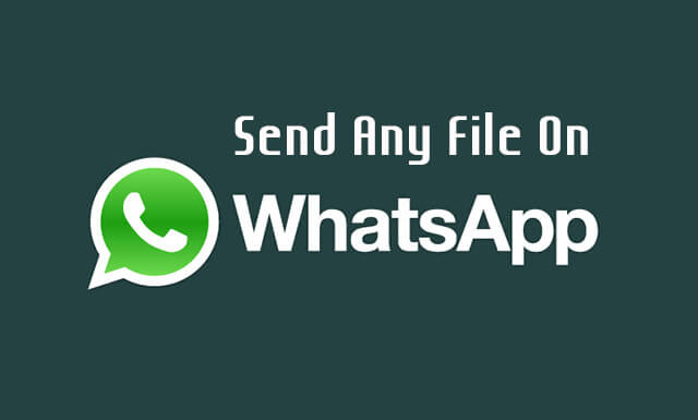 How to Send Any File On Whatsapp