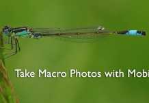 How to Take Macro Photos with Mobile Phone