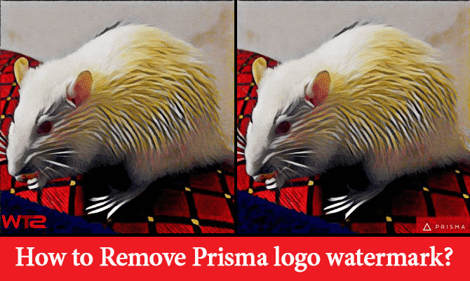 Remove Prisma Logo Watermark from Photos